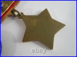 Cinematic Duplicate the Order of the Hero of the Soviet Union + Bonus Photo