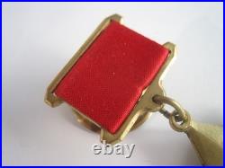 Cinematic Duplicate the Order of the Hero of the Soviet Union + Bonus Photo