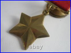 Cinematic Duplicate the Order of the Hero of the Soviet Union + Bonus Photo