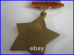 Cinematic Duplicate the Order of the Hero of the Soviet Union + Bonus Photo