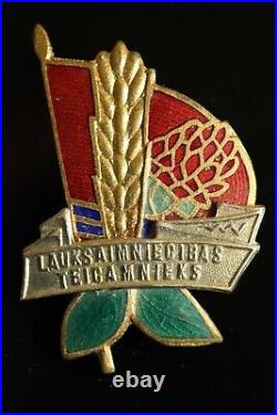 Orig. USSR Soviet Latvia Excellence in Agriculture screwback Brest Badge #1191