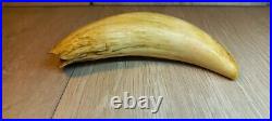 Replica Faux Sperm Whale Tooth Scrimshaw Tooth Plastic Home Decor Vintage USSR