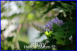 Russian Photo Sniper 300mm TAIR Lens + HELIOS 44 4 & Zenit ES Body USSR READ