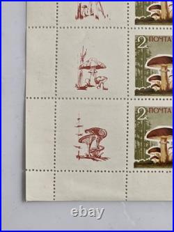 Ussr 1964, Mushrooms, 5 Sheets Of 25. Mnh