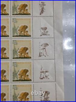 Ussr 1964, Mushrooms, 5 Sheets Of 25. Mnh