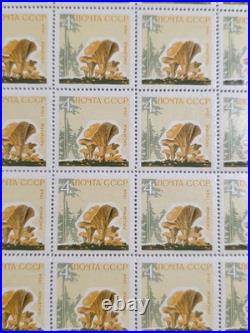 Ussr 1964, Mushrooms, 5 Sheets Of 25. Mnh