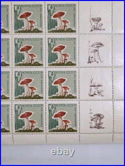 Ussr 1964, Mushrooms, 5 Sheets Of 25. Mnh