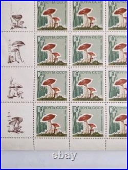 Ussr 1964, Mushrooms, 5 Sheets Of 25. Mnh