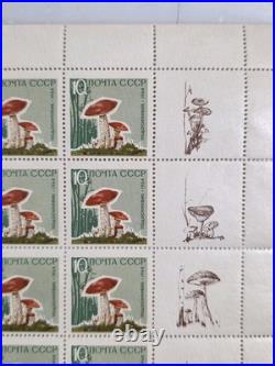 Ussr 1964, Mushrooms, 5 Sheets Of 25. Mnh