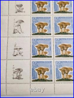 Ussr 1964, Mushrooms, 5 Sheets Of 25. Mnh