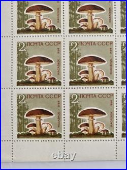 Ussr 1964, Mushrooms, 5 Sheets Of 25. Mnh